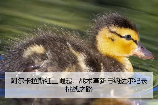 a-er-ka-la-si-hong-tu-jue-qi-zhan-shu-ge-xin-yu-na-da-er-ji-lu-tiao-zhan-zhi-lu-2-589.jpg