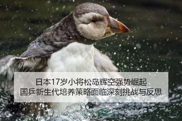 日本17岁小将松岛辉空强势崛起 国乒新生代培养策略面临深刻挑战与反思